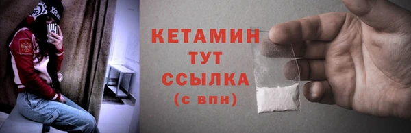 гидра Кодинск