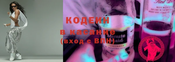 крисы Козельск